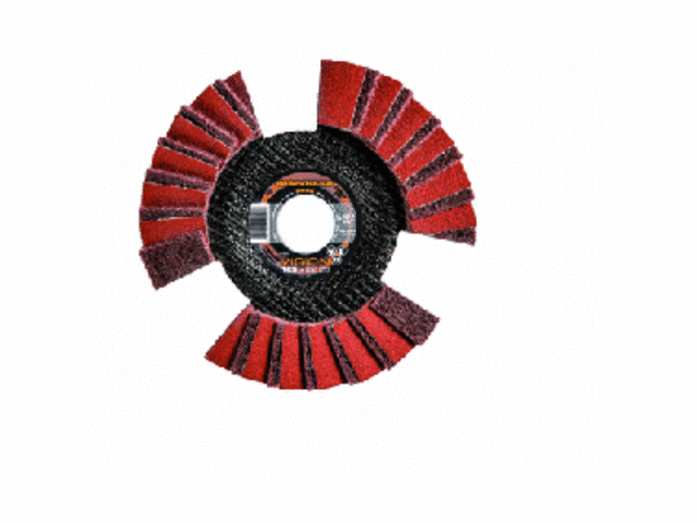 Lamellenschleifscheiben : VLS VISION