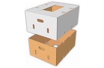 Runde und teleskopkartons