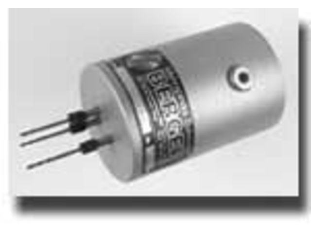 MSBZ-EM - die Kleinen