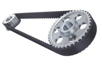 Synchroner Treibriemen