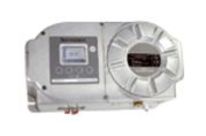 Digital digitaler Sauerstoffanalysator