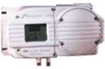 Sauerstoffanalysator 1800