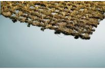 TenCate Polyfelt Envirofelt CO