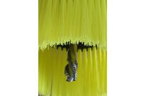 Tellerbürsten: Mink TD-System [TD]