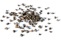 Mikrofinish-Schleifkörper:  KXMA