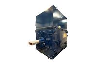 Hochspannungskäfigläufermotoren Hochspannungsmotoren