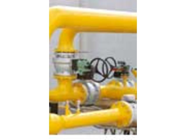 Analyse und Entwurf von Netzen für Strom- und Gasversorgungsbetriebe