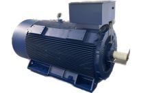 Asynchronmotoren mit Gusskäfig IP55