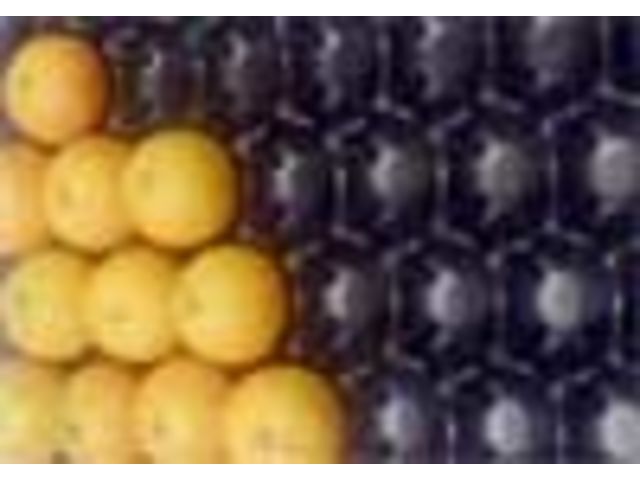 AUTOVIT Zitrusfrüchte