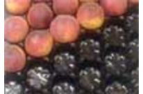 PSM Pfirsiche - Nektarinen