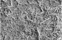 Natürliches Kalziumsilikat : Wollastonit