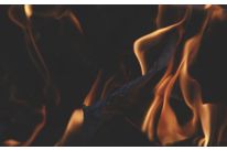 Zinkborat : Sureflam ZB 2235