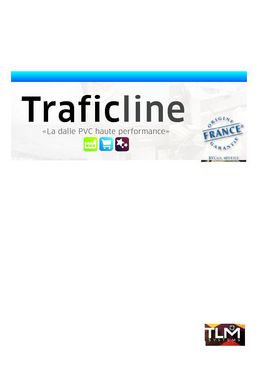 TRAFICLINE TLM SYSTEMS